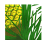 pineapplethumb